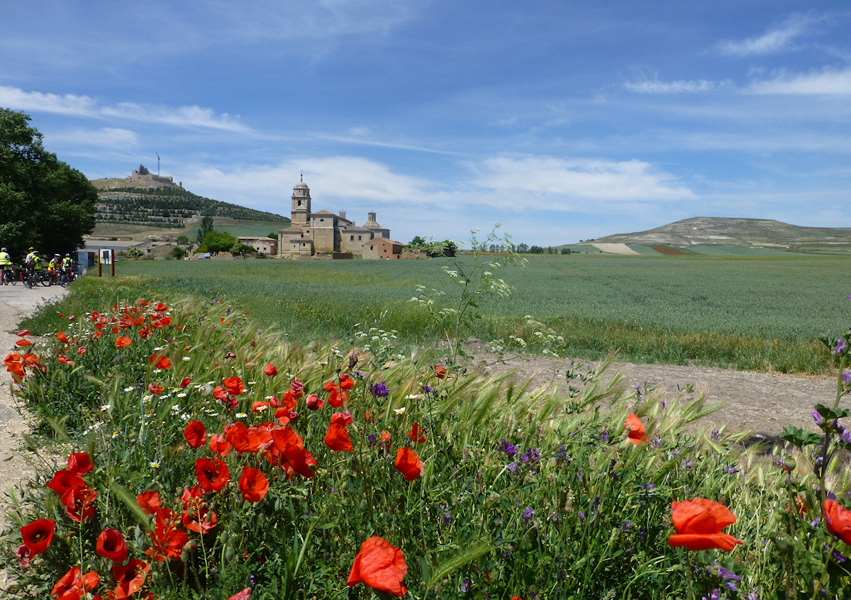 anta María del Manzano